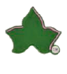 Jibbitz shoe charm