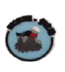 Jibbitz shoe charm
